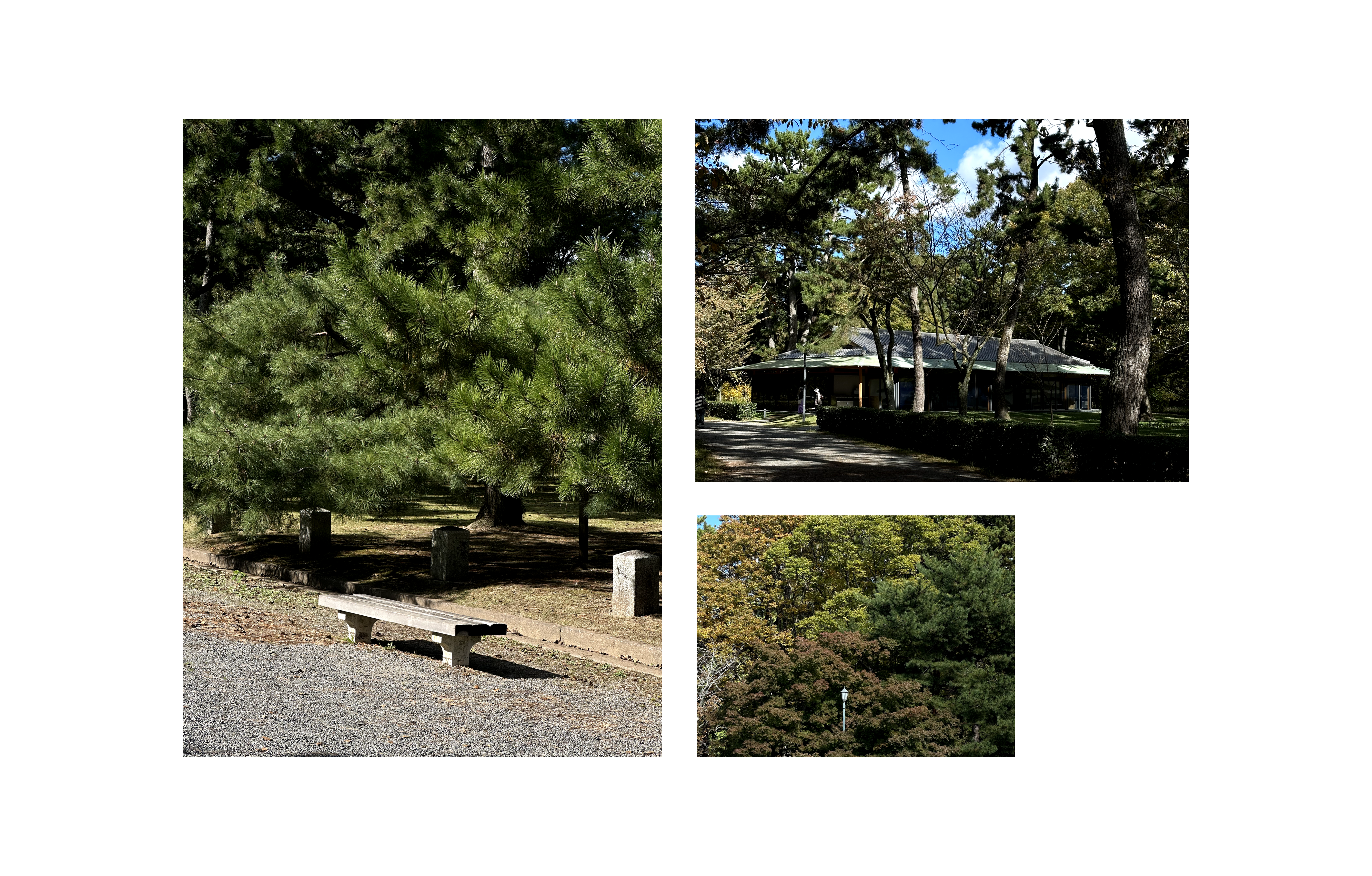 A beautiful stroll through the Kyoto Gyoen National Garden, so peaceful and idyllic