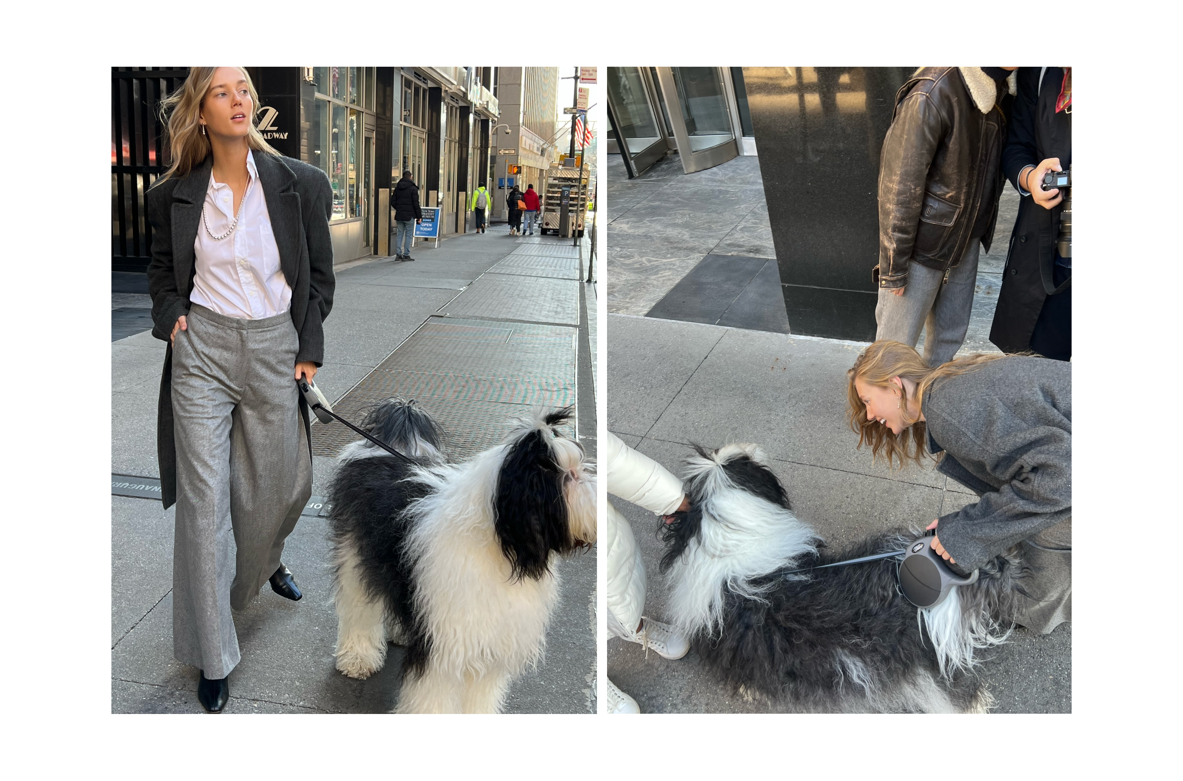 Oreo, the STAR of the day! We met this cute friend randomly on the streets, and his lovely parents were excited for him to take part in some shots - how lucky! 